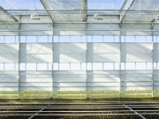 Hortiroll-rolling-inside_2