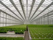 ILS_ROLLING_INSIDE_2